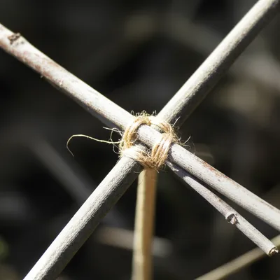 Illustration crosses - Image 1