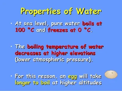 Illustration property - Image 2