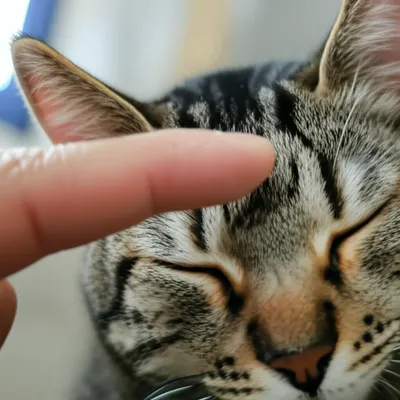 Illustration aggravation - Image 1