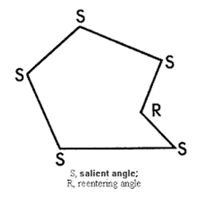 Illustration salient - Image 3