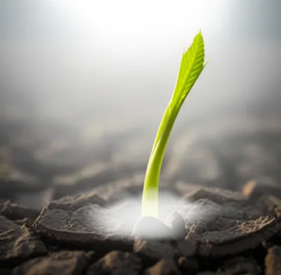 Illustration awaken - Image 1