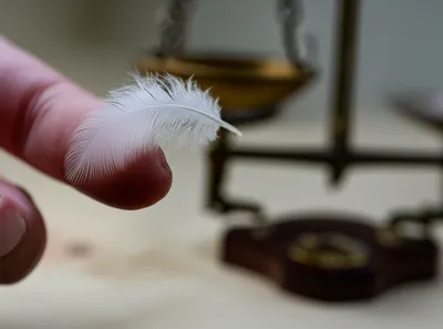 Illustration ounce - Image 1