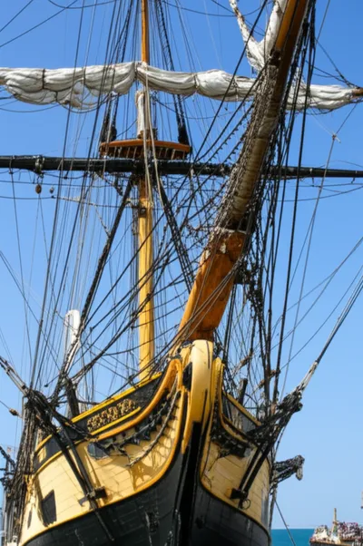 Illustration martingale - Image 1