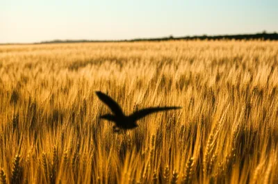 Illustration connoted - Image 1