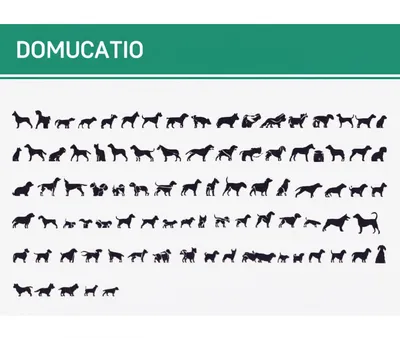 Illustration dog - Image 1