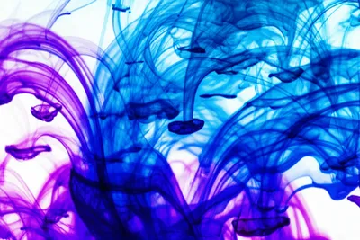 Illustration swirls - Image 1