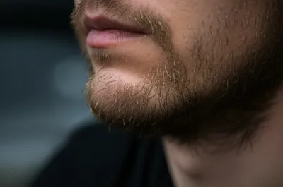 Hình ảnh minh họa scruff - Ảnh 1