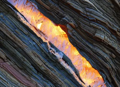 Illustration vein - Image 1