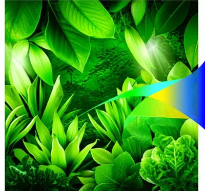 Illustration greens - Image 1