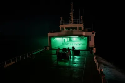 Illustration weight - Image 1