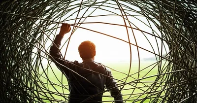 Illustration rez - Image 1