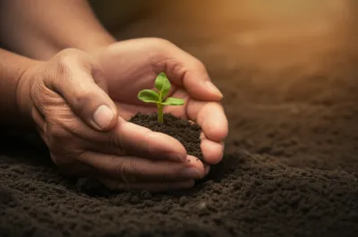 Illustration cure - Image 1