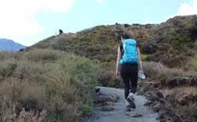 Illustration tramp - Image 3