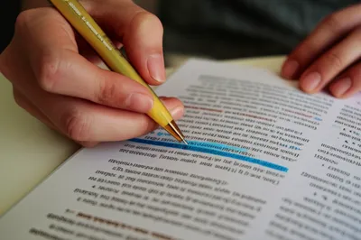 Illustration review - Image 1