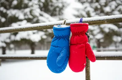 Illustration mitt - Image 1