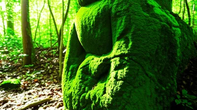 Illustration mossing - Image 1