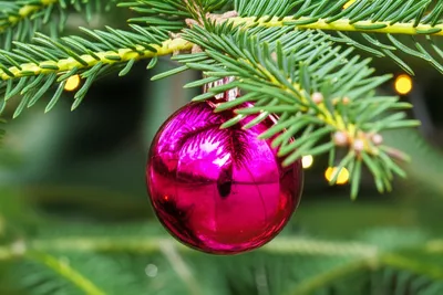 Illustration bauble - Image 1