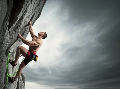 Illustration bulldog - Image 1