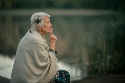 Illustration stiller - Image 1