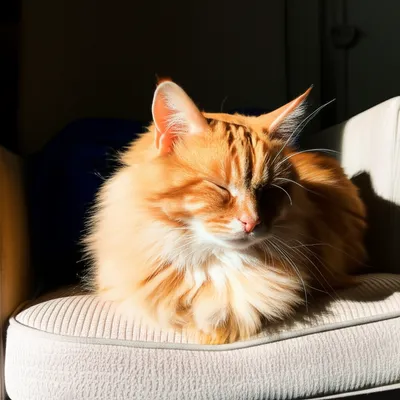 Illustration doze - Image 1