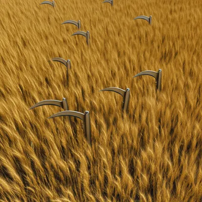 Illustration grade - Image 1