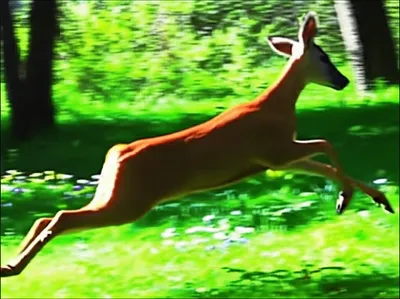 Illustration bolts - Image 1