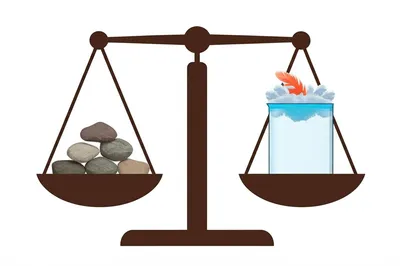 Hình ảnh minh họa gees - Ảnh 1