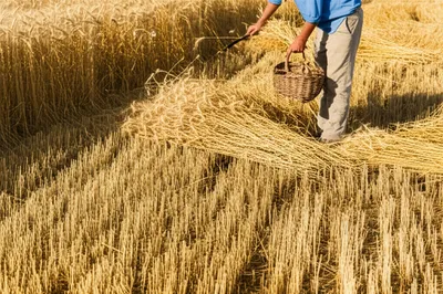 Illustration tithes - Image 1