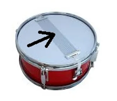 Illustration snare - Image 2