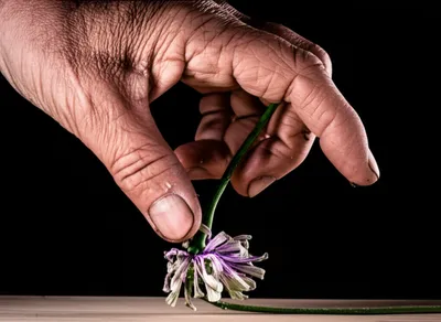 Illustration infliction