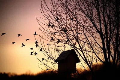 Illustration leaving - Image 1