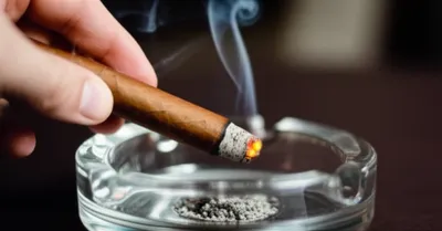 Illustration ash - Image 1