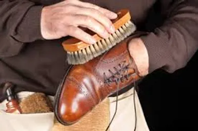 Illustration shine - Image 2