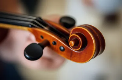 Illustration pin - Image 1