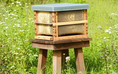 Illustration eke - Image 1