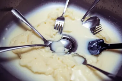 Illustration clam - Image 1