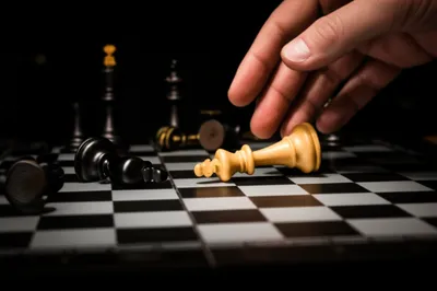 Illustration whips - Image 1