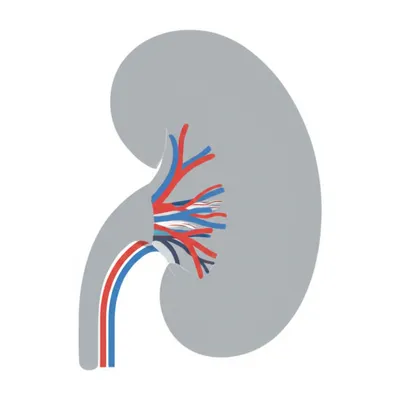 Illustration hila - Image 1