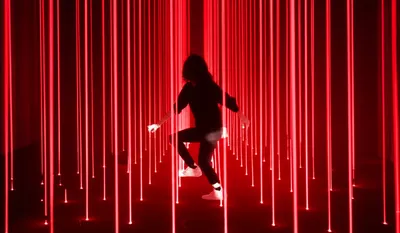 Illustration laws - Image 1