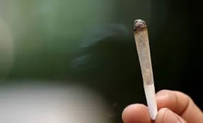 Illustration joint - Image 2