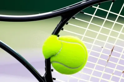 Illustration frames - Image 1