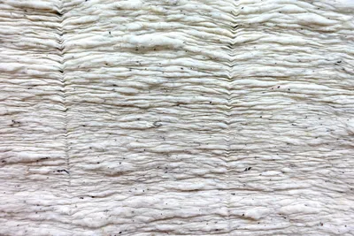 Illustration squeezed - Image 2