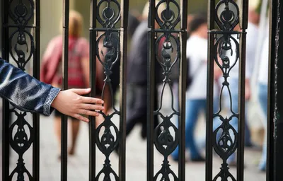 Illustration canceling - Image 1