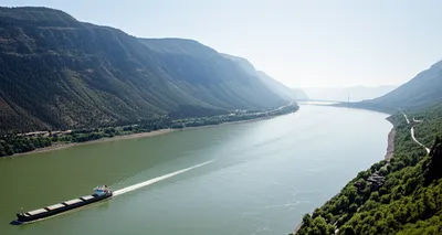 Illustration navigable