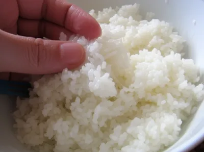 Illustration clams - Image 1