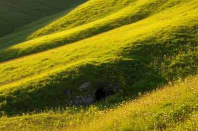 Illustration mound - Image 1