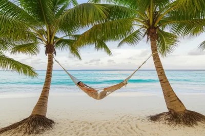 Illustration freshest - Image 1