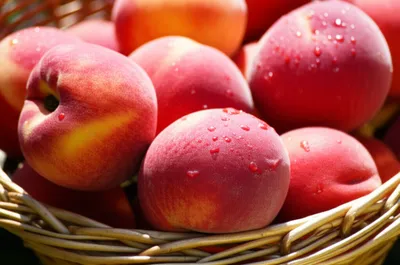 Illustration voluptuous