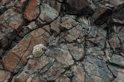 Illustration gaps - Image 2