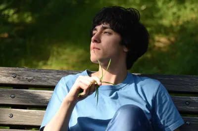 Illustration fiddle - Image 1